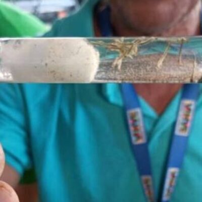 Vitória da Conquista lidera o número de casos e mortes por Dengue na Bahia