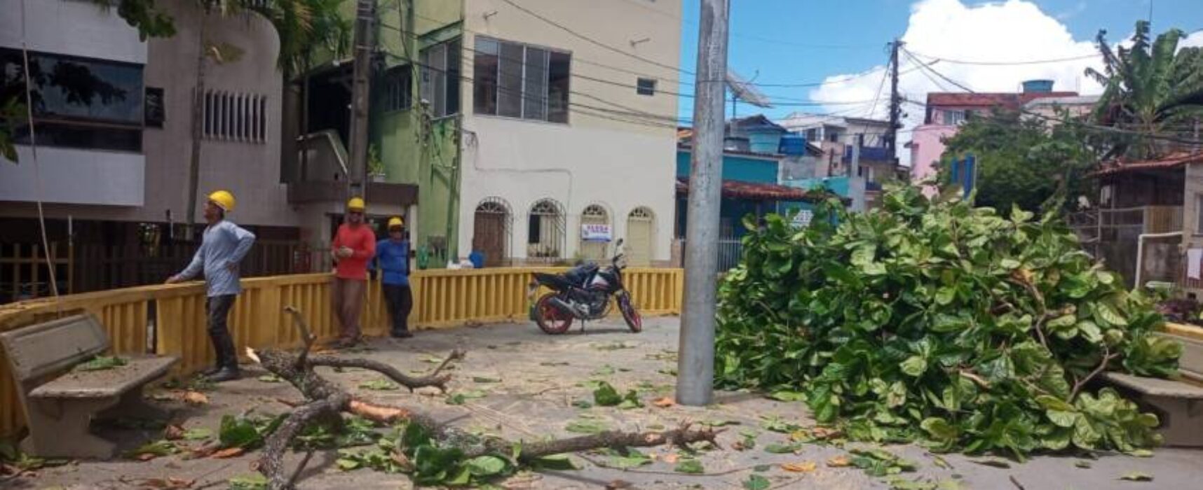 EDERJÚNIOR: Via laudo emitido pela Defesa Civil, é feito supressão de árvore no Outeiro