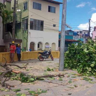EDERJÚNIOR: Via laudo emitido pela Defesa Civil, é feito supressão de árvore no Outeiro