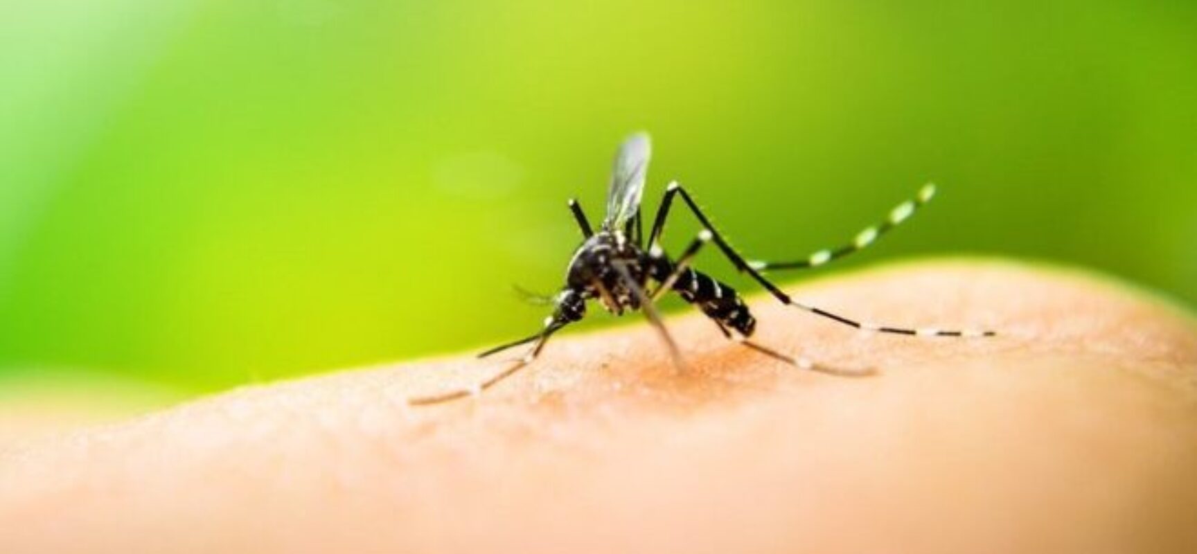 SÁUDE PÚBLICA: Importante projeto do vereador EDERJÚNIOR será votado terça-feira, no Legislativo Ilheense