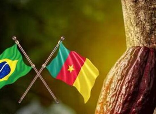 Ilhéus e Camarões: fortalecendo vínculos na rota do cacau e chocolate