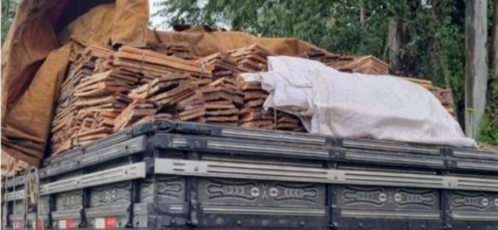 PRF apreende caminhão com carga de madeira sem documentação válida em Itabuna-BA