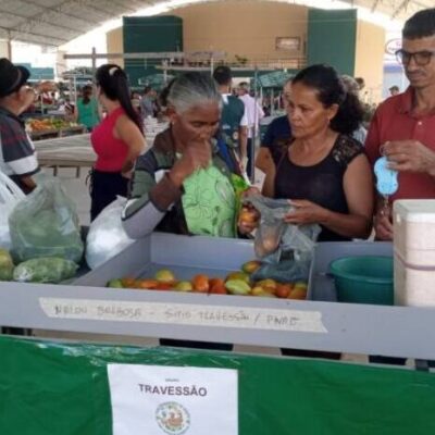 Feira Agroecológica de Campo Alegre de Lourdes gera renda e fortalece agricultura do município