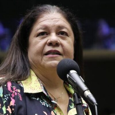 Projeto regulamenta guarda de animal de estimação após fim de casamento ou união estável