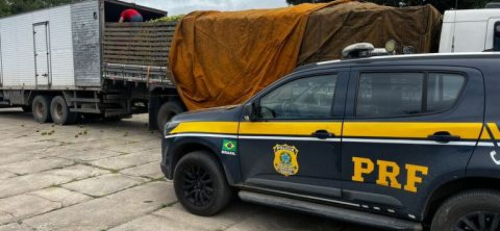 Motorista é preso por desacato em fiscalização de peso na Bahia