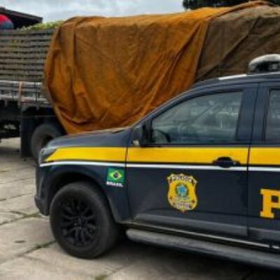 Motorista é preso por desacato em fiscalização de peso na Bahia