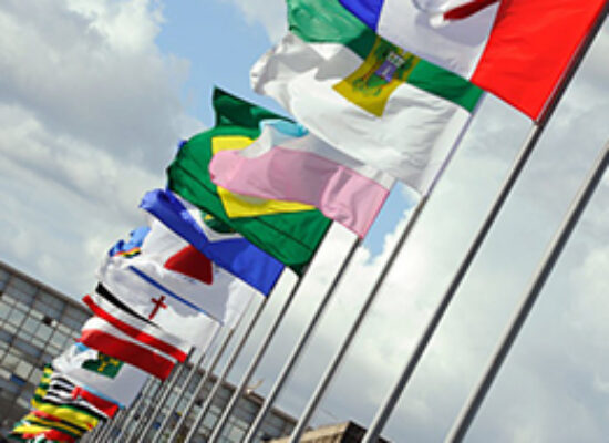 Estados, DF e municípios podem alterar ordem de fases de licitações, decide STF