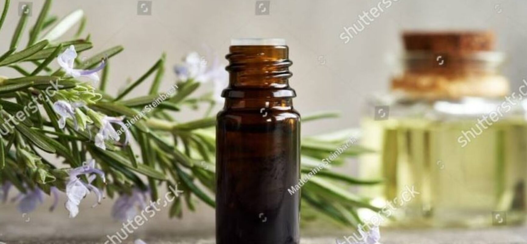 EDERJÚNIOR COBRA DO MUNICÍPIO DE ILHÉUS, ADESÃO AO PROGRAMA FEDERAL DE  PLANTAS MEDICINAIS E FITOTERÁPICOS