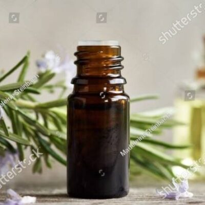 EDERJÚNIOR COBRA DO MUNICÍPIO DE ILHÉUS, ADESÃO AO PROGRAMA FEDERAL DE  PLANTAS MEDICINAIS E FITOTERÁPICOS