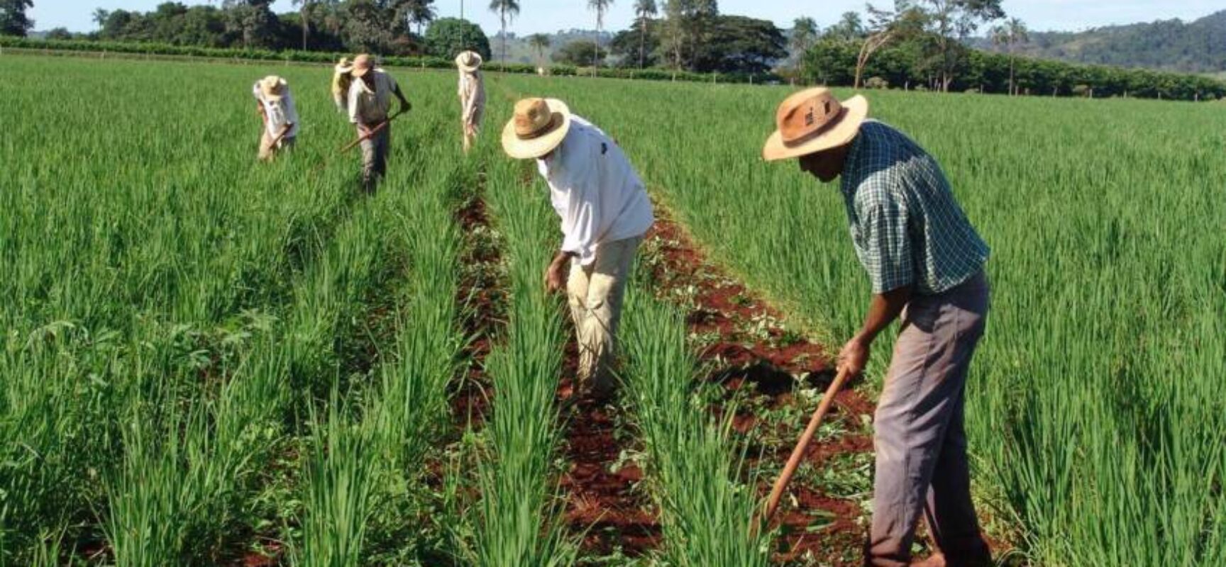 28 de Julho – Dia do Agricultor / EDERJÚNIOR Parabeniza o Homem do Campo