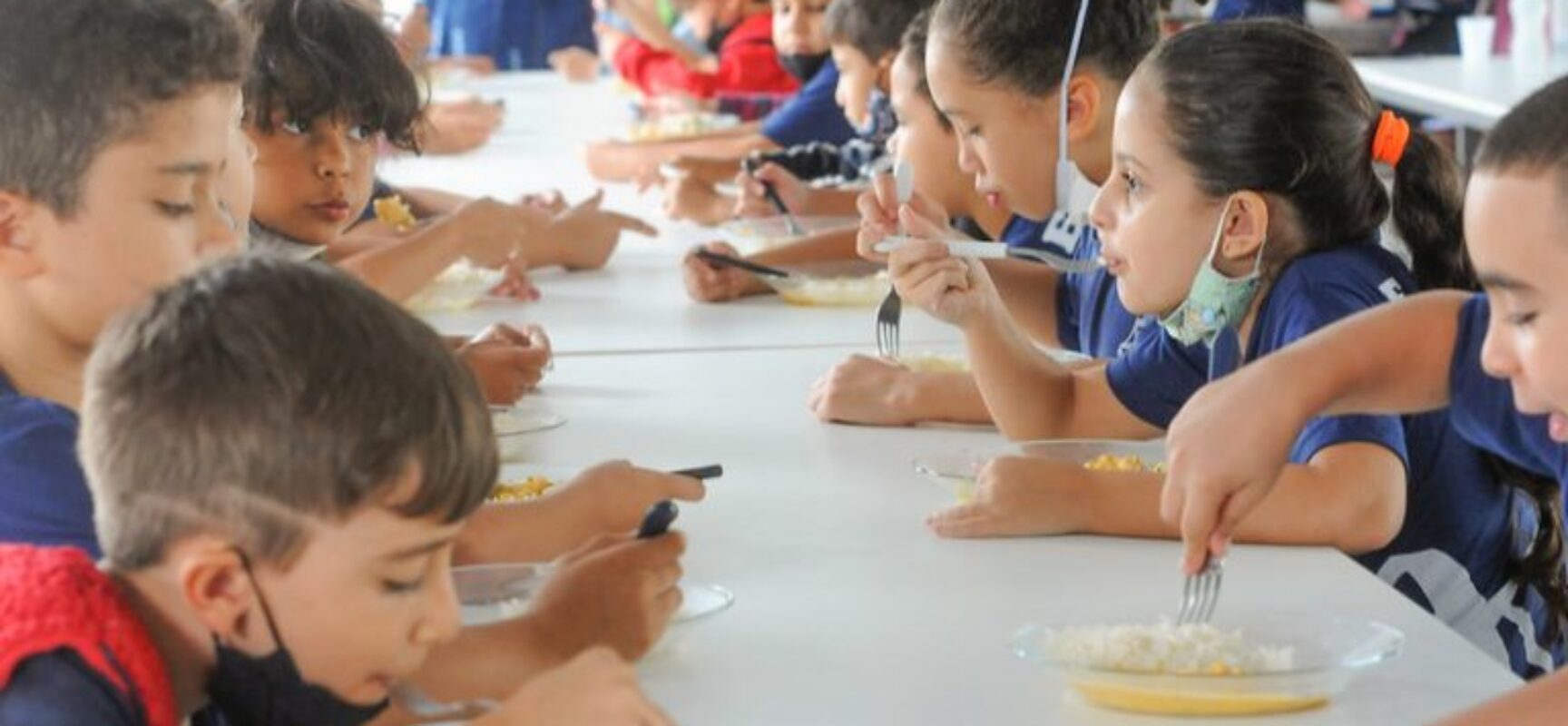 Comissão avalia qualidade do Programa Nacional de Alimentação Escolar