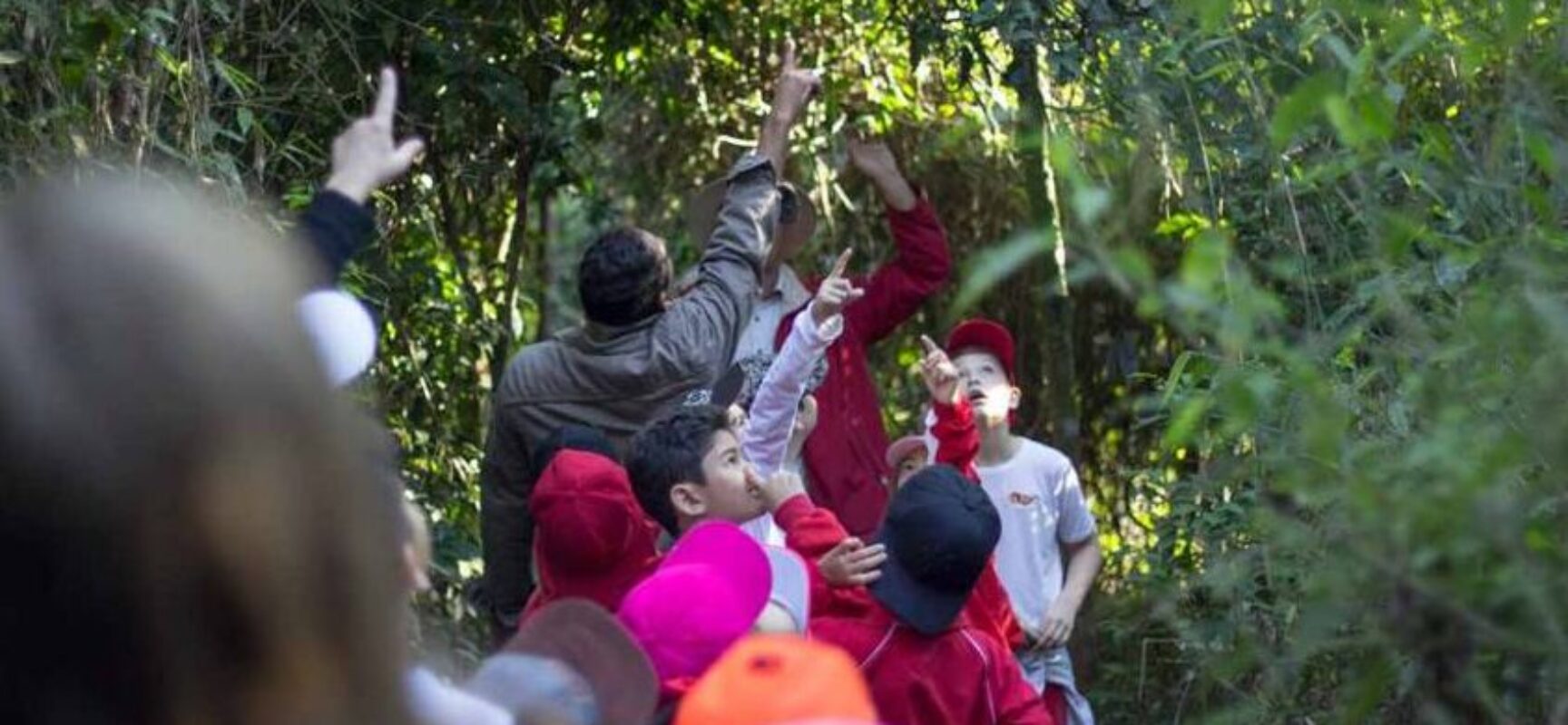 *TURISMO EDUCATIVO: PL DO VEREADOR EDERJÚNIOR TEM PARECER FAVORÁVEL E, SERÁ VOTADO TERÇA-FEIRA
