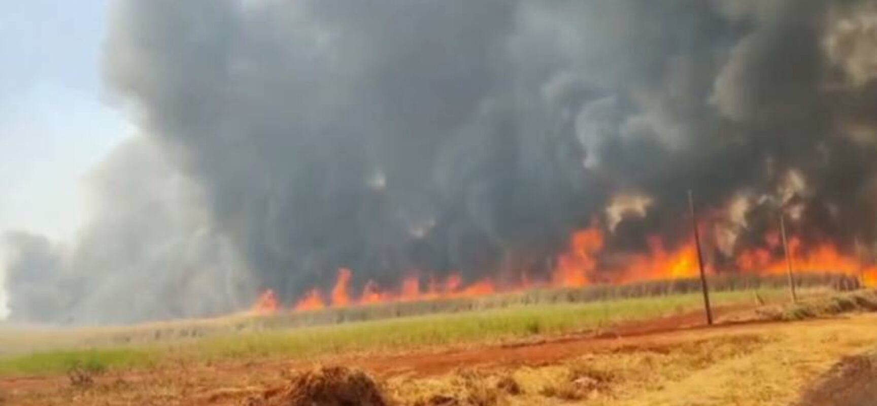 Governo federal identifica onda criminosa de incêndios e aciona PF