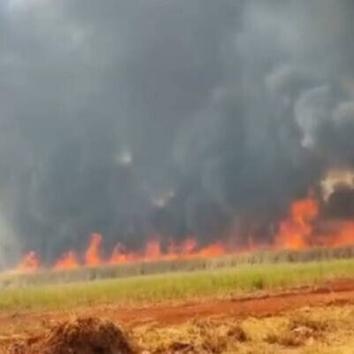 Governo federal identifica onda criminosa de incêndios e aciona PF