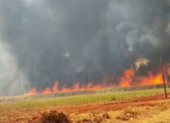 Governo federal identifica onda criminosa de incêndios e aciona PF