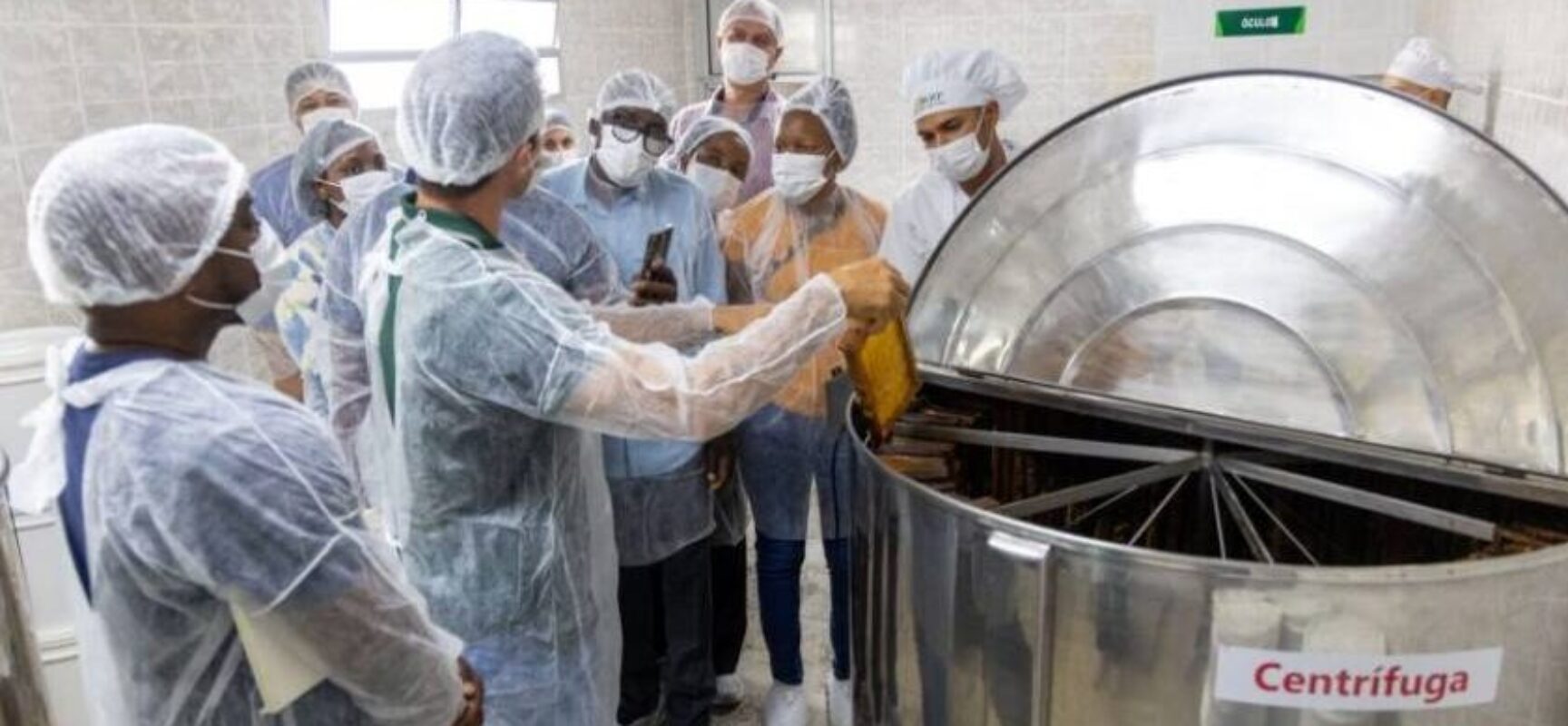 Cooperativas baianas inspiram modelos globais e reafirmam sustentabilidade da agricultura familiar