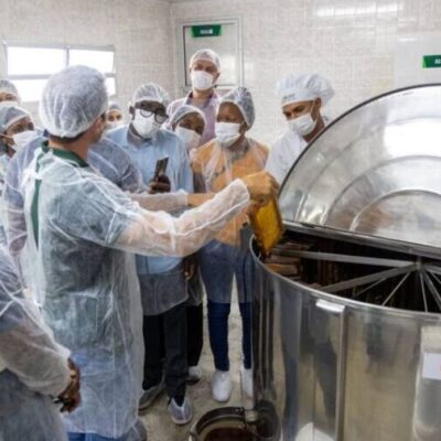 Cooperativas baianas inspiram modelos globais e reafirmam sustentabilidade da agricultura familiar