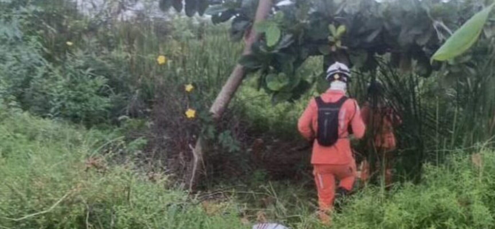 *Idosa desaparecida é encontrada com vida por bombeiros do 15° BBM*