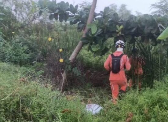 *Idosa desaparecida é encontrada com vida por bombeiros do 15° BBM* *Idosa desaparecida é encontrada com vida por bombeiros do 15° BBM*