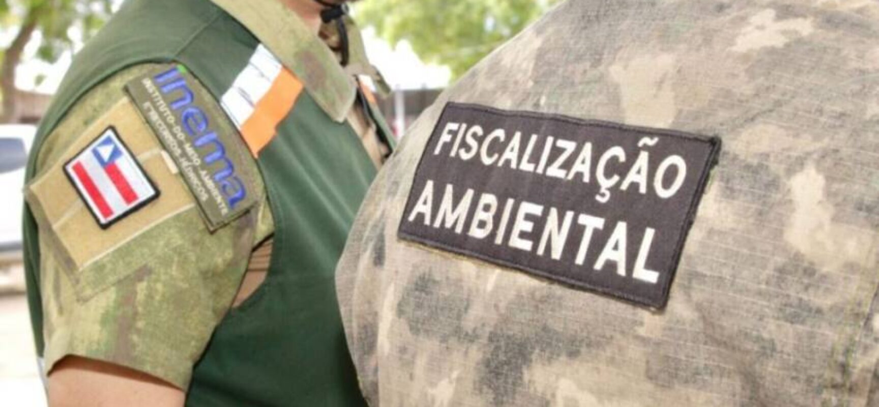 MPF investiga loteamentos clandestinos em área protegida no sul da Bahia