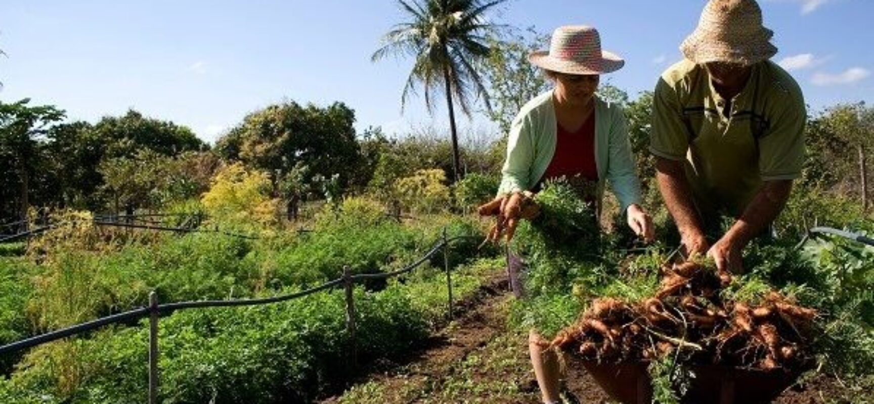 PROJETO DE EDERJÚNIOR QUE COBRA INSERÇÃO DO MUNICÍPIO NO PROGRAMA FOMENTO RURAL, SERÁ VOTADO HOJE, 18