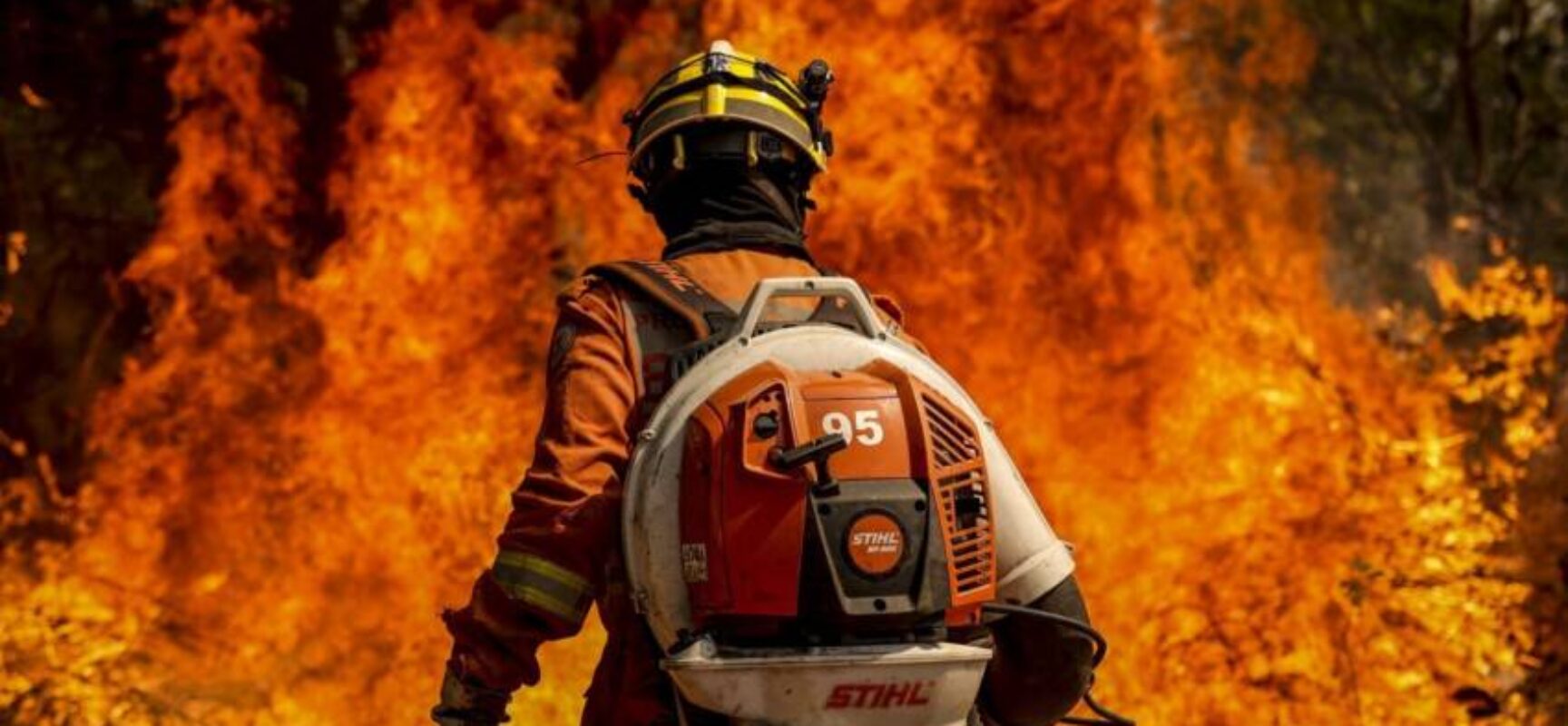 Amazônia se torna maior emissor de gases de efeito estufa do planeta