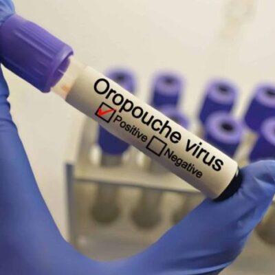 Bahia publica estudo sobre óbitos por Febre Oropouche em revista do CDC