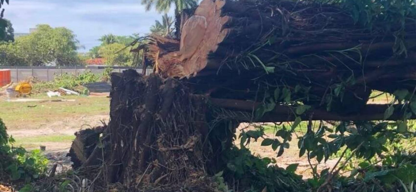 CONVOCAÇÃO À POPULAÇÃO DE ILHÉUS: Associação dos moradores do Loteamento Jardim Atlântico