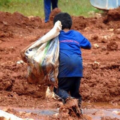 Mais de 65% do trabalho infantil no Brasil é feito por pretos e pardos, indica IBGE