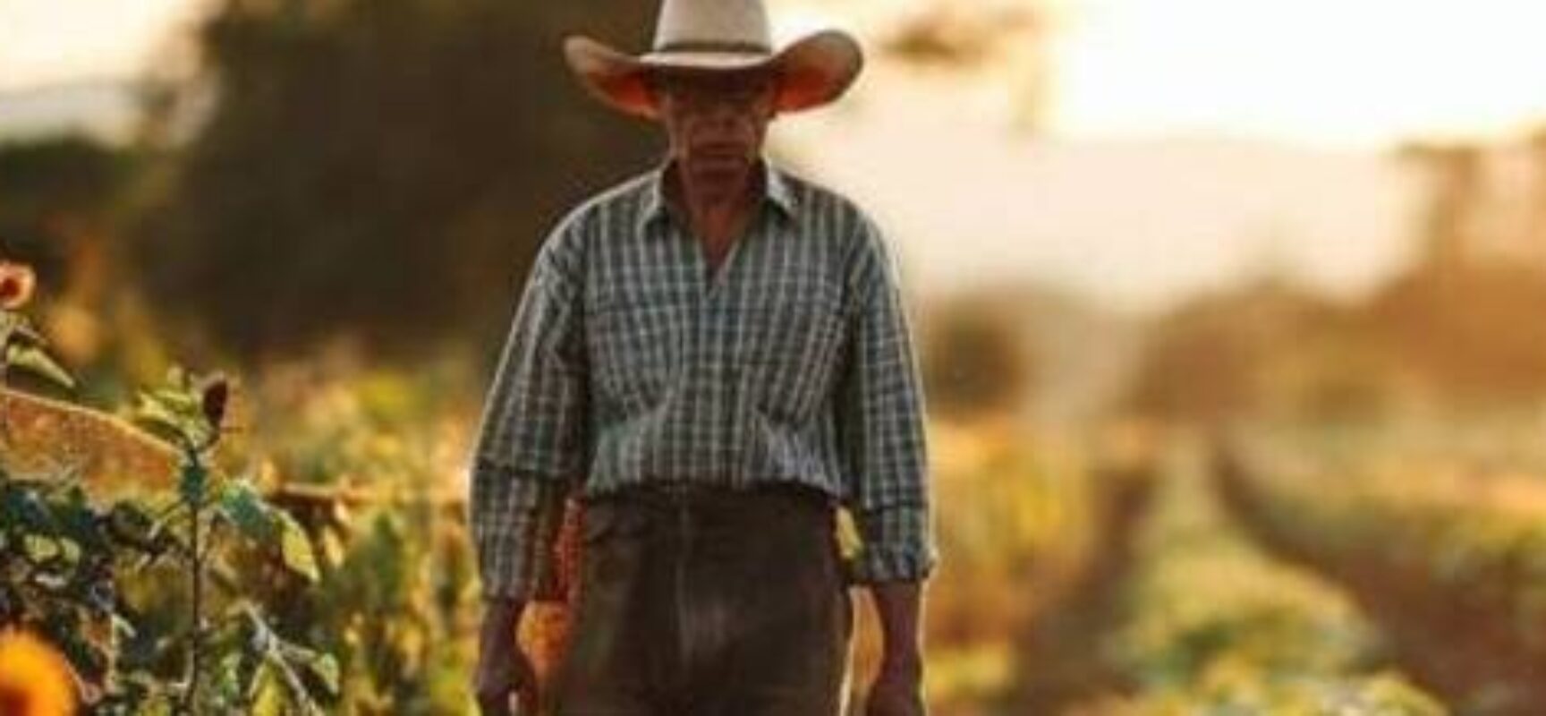 Governo pretende lançar Desenrola Rural no início de novembro