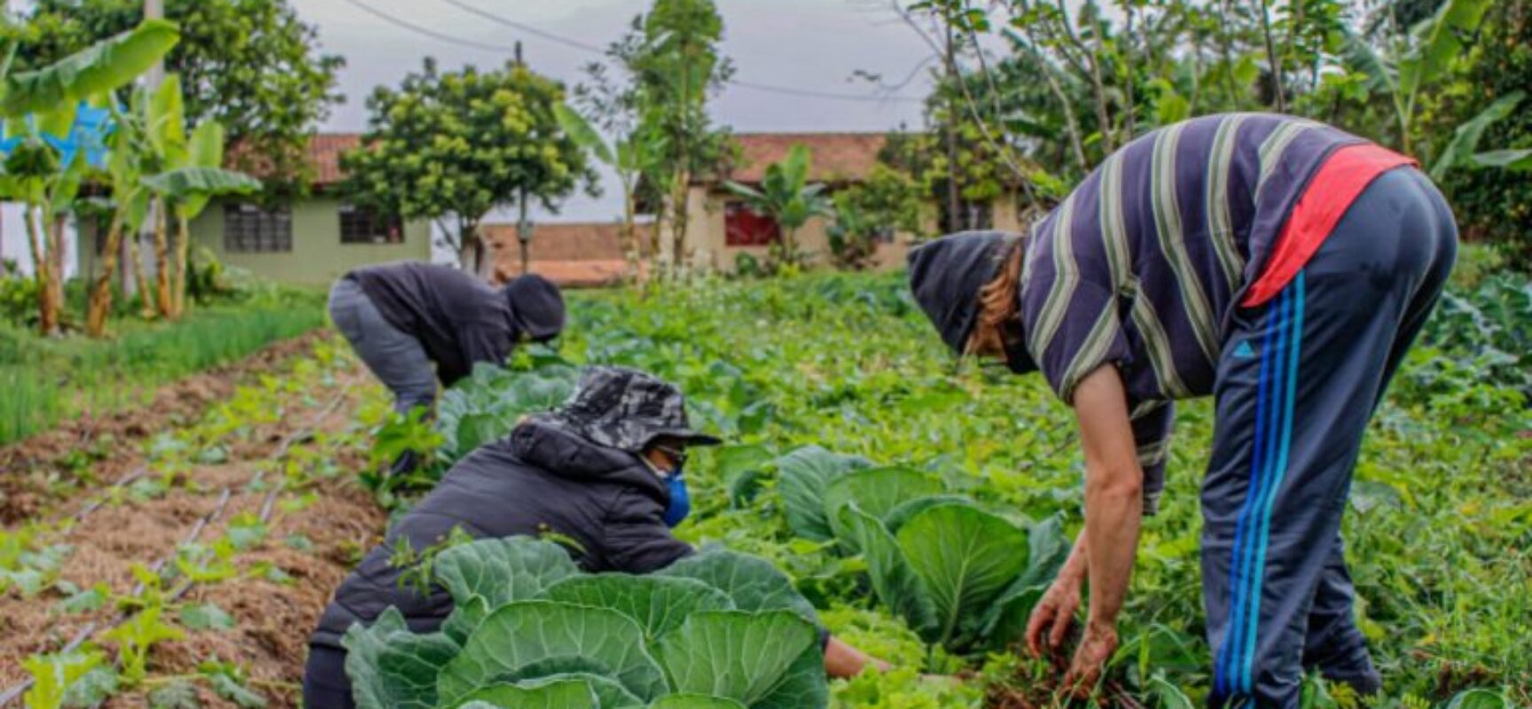 Projeto destina parte dos recursos de loterias para o crédito rural