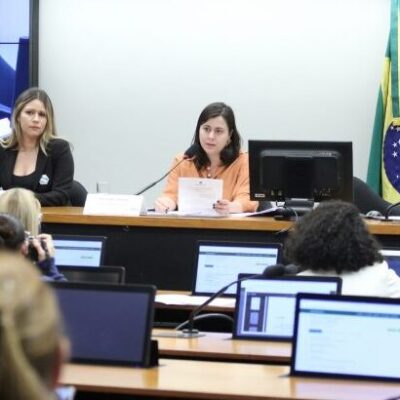 Debatedoras defendem mudanças na Convenção de Haia para mulheres vítimas de violência doméstica