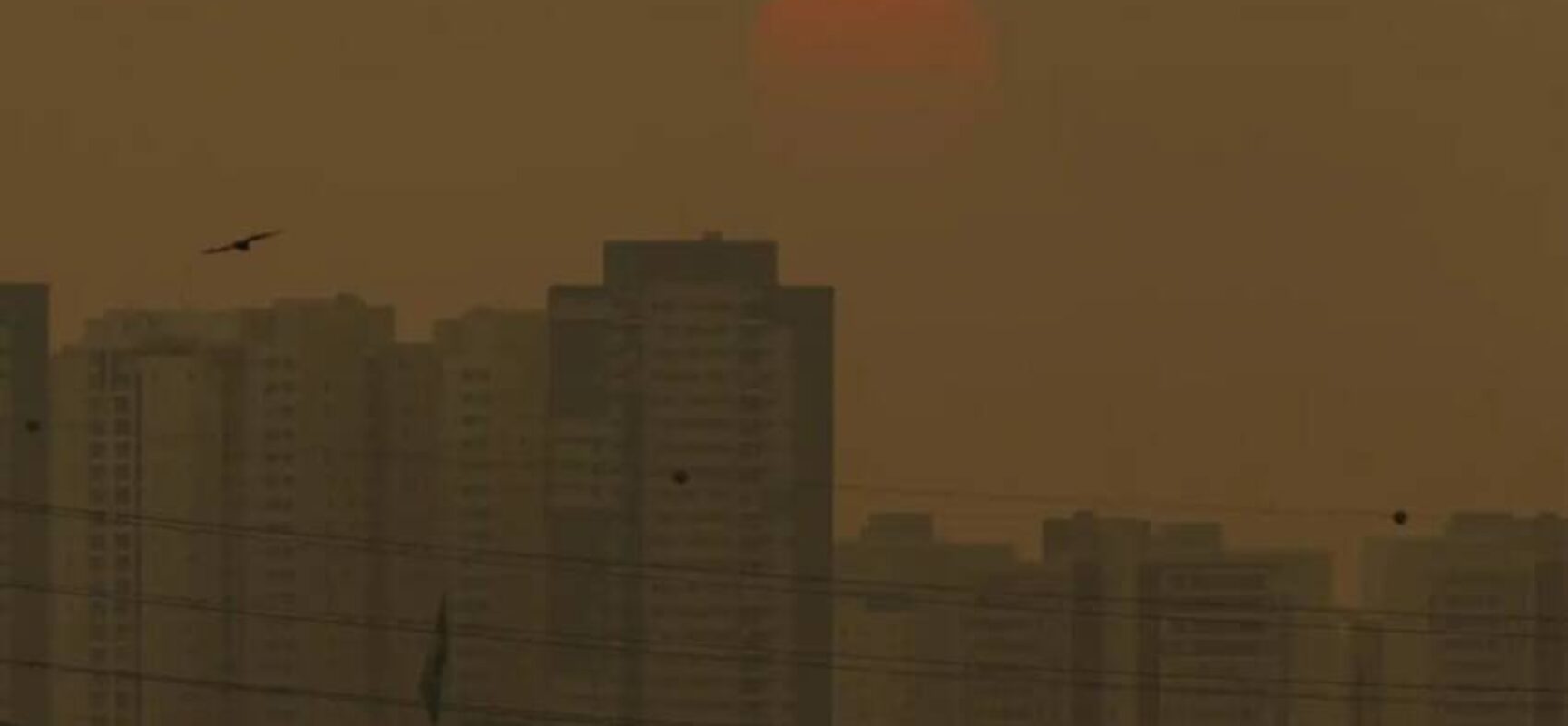 COP29: Brasil apresenta nova meta de reduzir emissões em 67% até 2035