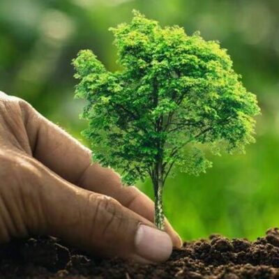 *EDERJÚNIOR RATIFICA ATENÇÃO A DEMANDA DE ARBORIZAÇÃO EM ÁREAS URBANAS DA CIDADE*