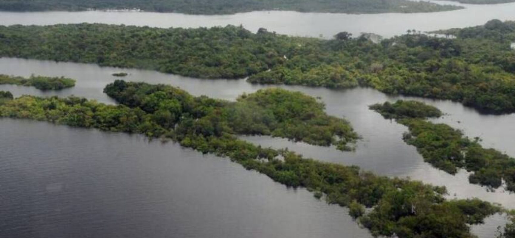 Brasil tem 95 milhões de hectares à espera de ações de restauração