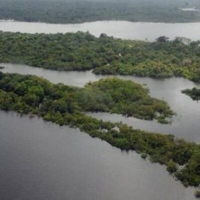 Brasil tem 95 milhões de hectares à espera de ações de restauração