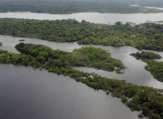 Brasil tem 95 milhões de hectares à espera de ações de restauração