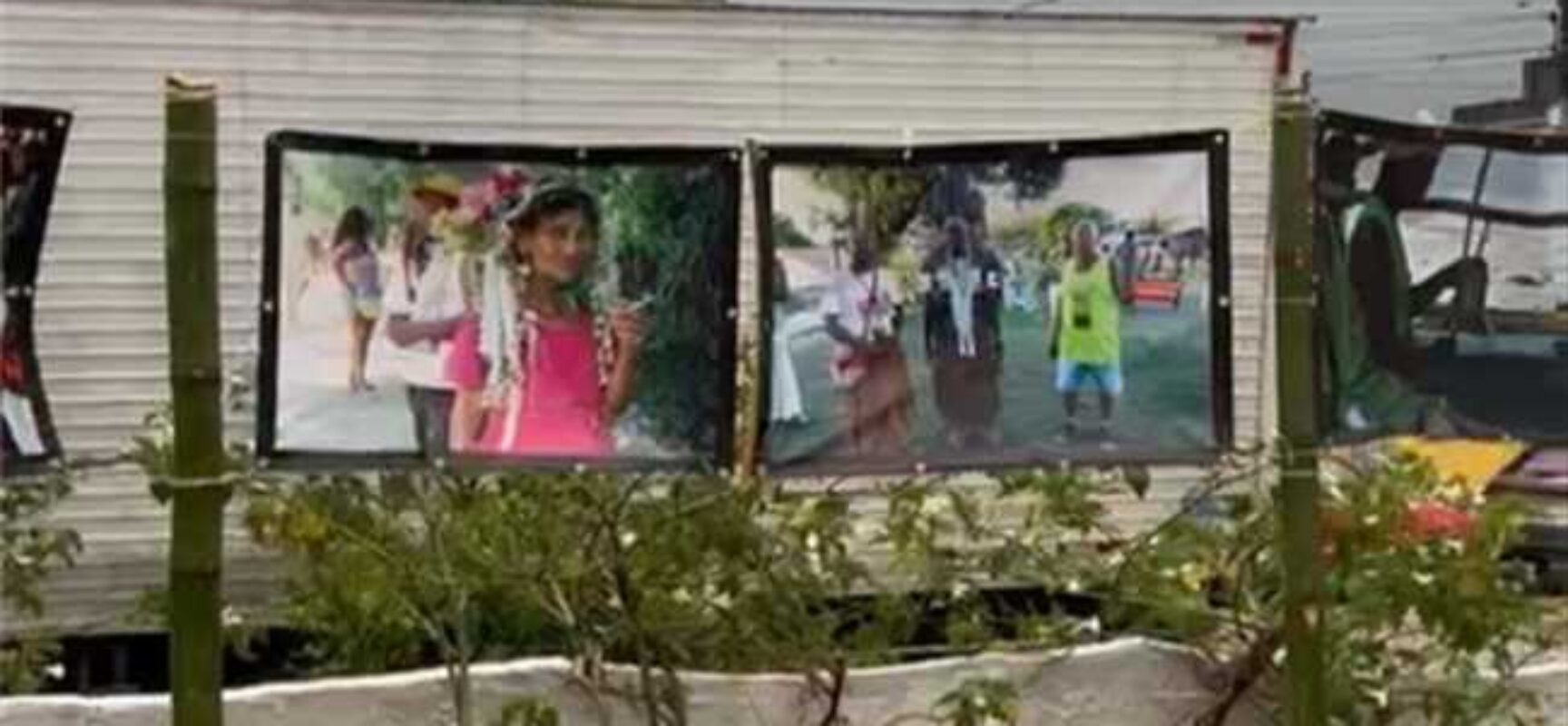 Exposição de painéis retrata a tradição da Puxada do Mastro de Olivença