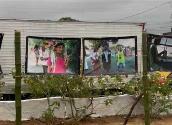 Exposição de painéis retrata a tradição da Puxada do Mastro de Olivença