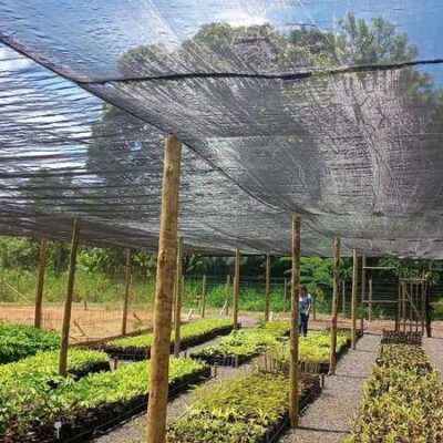 Prefeitura de Ilhéus busca parceria com Embasa para recuperação de nascentes