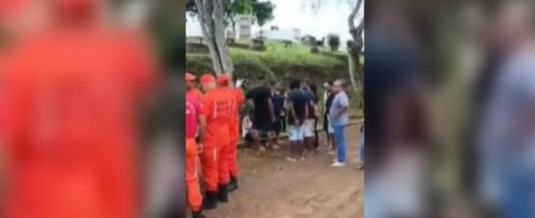 Ataque de abelhas interrompe sepultamento e causa pânico em cemitério