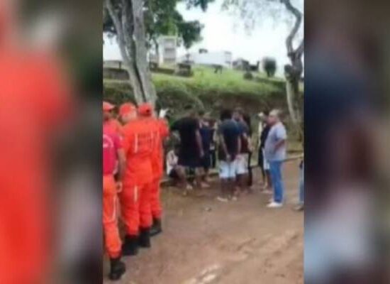Ataque de abelhas interrompe sepultamento e causa pânico em cemitério