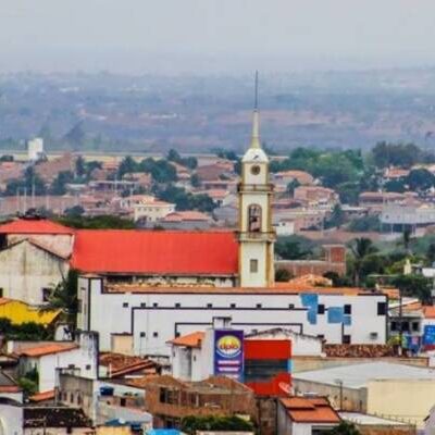 Ministério Público investiga decreto que autoriza abate de animais abandonados em município da Bahia