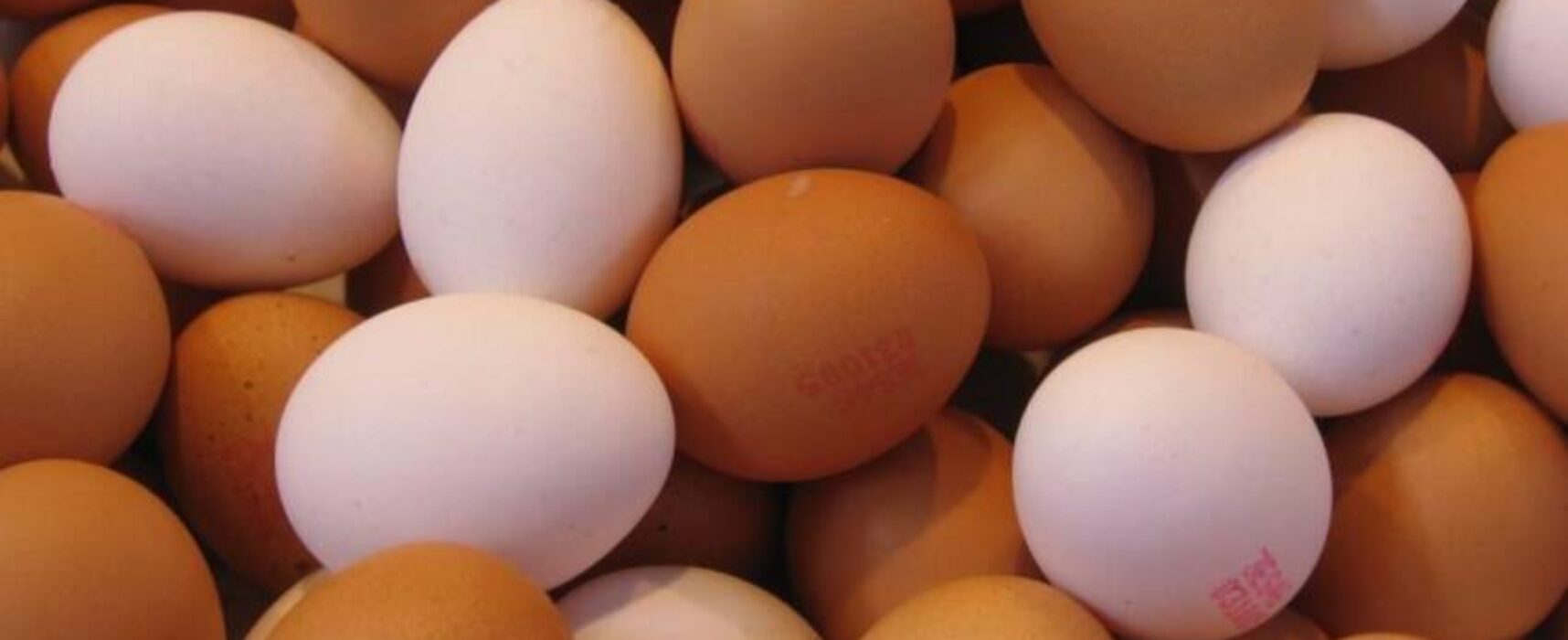 Governo suspende exigência de carimbo em casca de ovos vendidos soltos