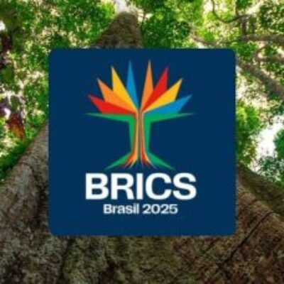 Cúpula do BRICS será no Rio de Janeiro, em 6 e 7 de julho