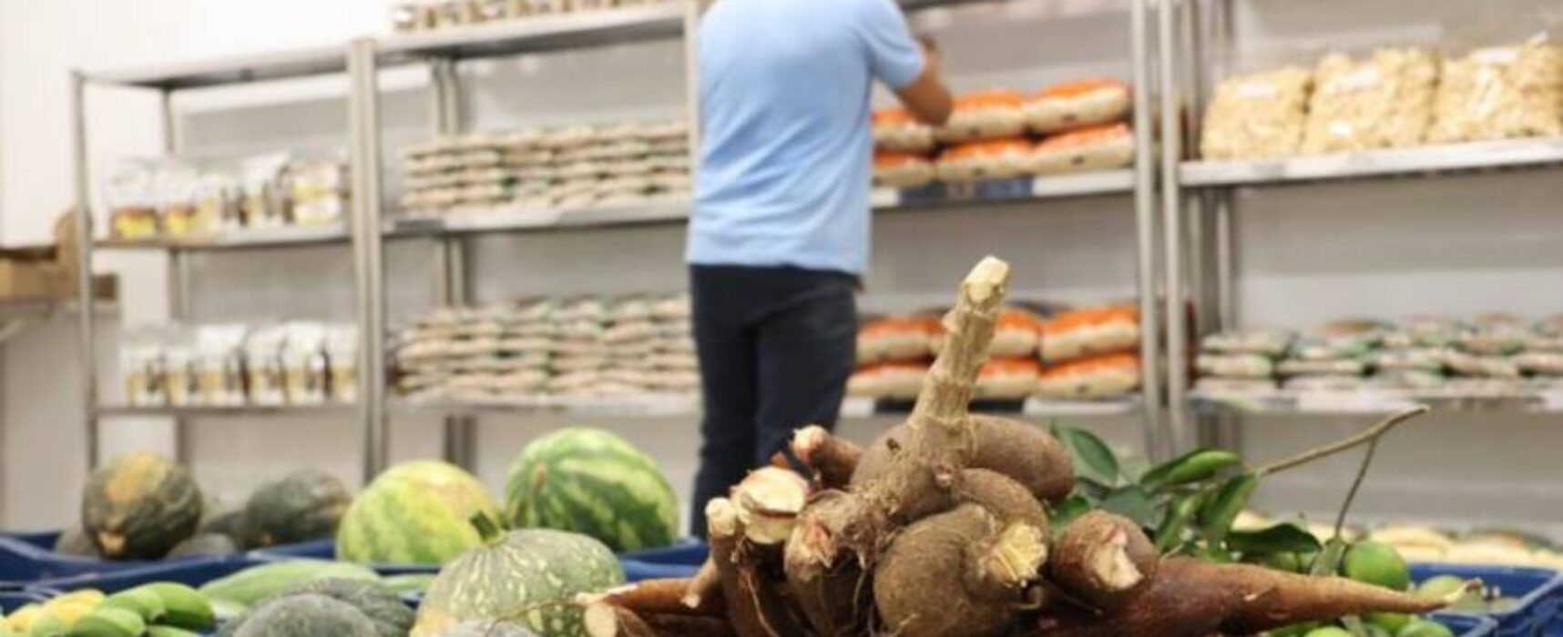 Produtores dizem ao governo Lula que preço dos alimentos devem cair com colheita da safra