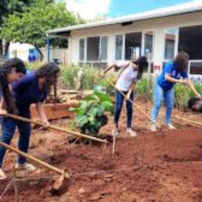 Farmácia Verde transforma escola e comunidade com saberes ancestrais e cuidados com a saúde