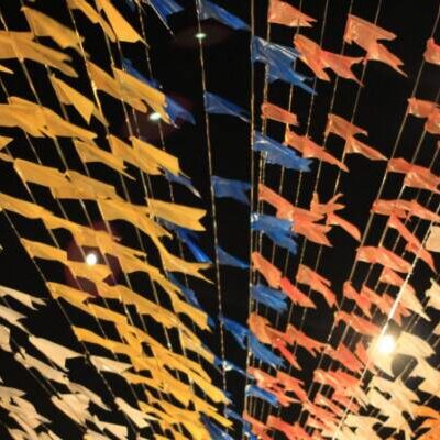 Transparência: 55 municípios já enviaram informações ao Painel dos Festejos Juninos do MPBA