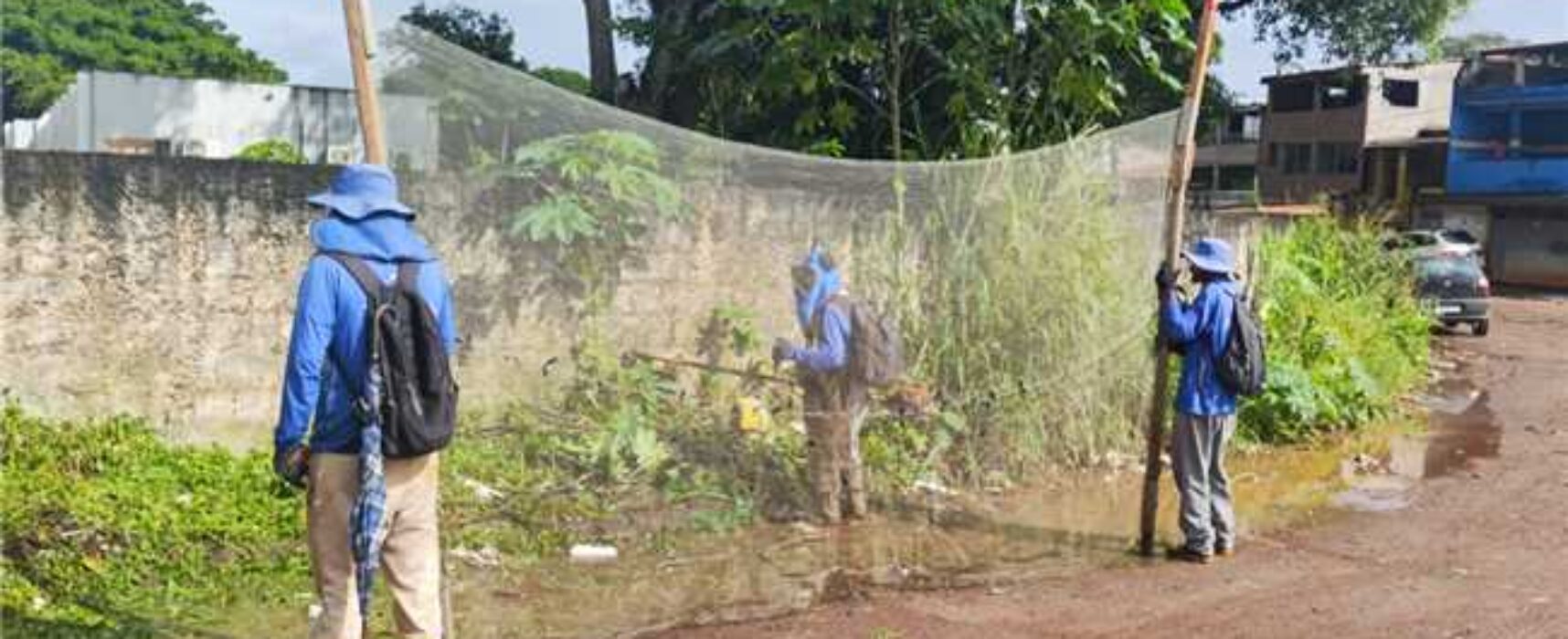 Prefeitura de Ilhéus inicia limpeza e roçagem no bairro Iguape