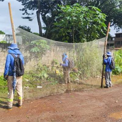 Prefeitura de Ilhéus inicia limpeza e roçagem no bairro Iguape